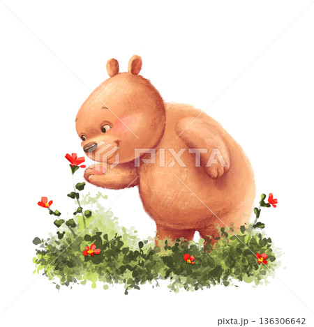 Hand drawn illustration of a sweet brown teddy bear smelling red spring flowers on a green meadow. Funny animal character for nursery decor, baby shower, birthday cards and stationery design. Hand drawn illustration of a sweet brown teddy bear smelling red spring flowers on a green meadow. Funny animal character for nursery decor, baby shower, birthday cards and stationery design. 136306642