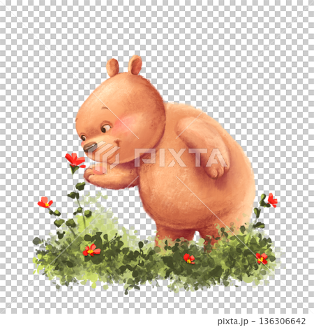 Hand drawn illustration of a sweet brown teddy bear smelling red spring flowers on a green meadow. Funny animal character for nursery decor, baby shower, birthday cards and stationery design. Hand drawn illustration of a sweet brown teddy bear smelling red spring flowers on a green meadow. Funny animal character for nursery decor, baby shower, birthday cards and stationery design. 136306642