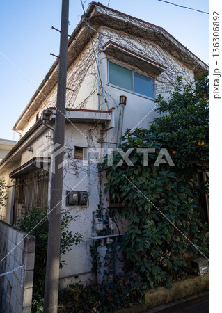 庭にみかんの木が生えた二階建て一軒家 136306892