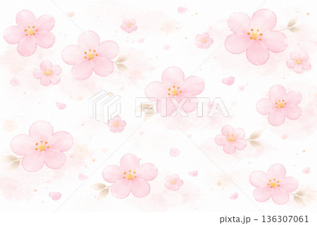 ひな祭り・桃の節句：雨に濡れる情緒的な桃の花背景 136307061