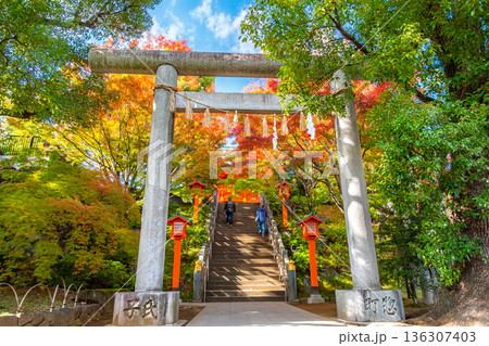 東京都新宿区 秋の早稲田、穴八幡宮 二の鳥居 136307403