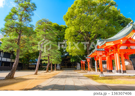 東京都新宿区 早稲田、秋晴れの穴八幡宮の境内 136307406