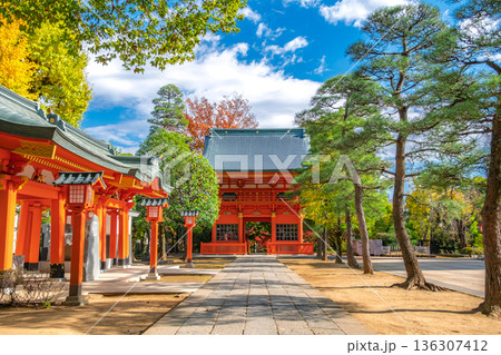 東京都新宿区 早稲田、秋晴れの穴八幡宮の境内 東京都新宿区 早稲田、秋晴れの穴八幡宮の境内 136307412