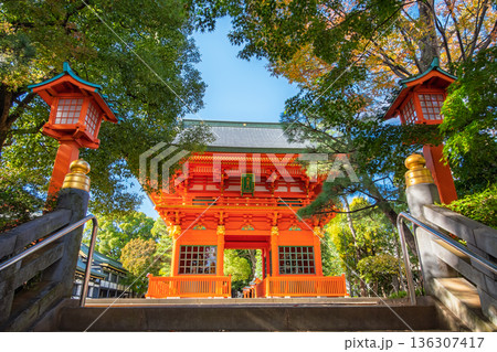 東京都新宿区 早稲田、秋晴れの穴八幡宮 随神門 東京都新宿区 早稲田、秋晴れの穴八幡宮 随神門 136307417