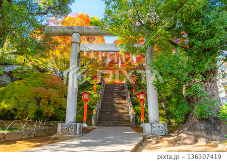 東京都新宿区 秋の早稲田、穴八幡宮 二の鳥居 東京都新宿区 秋の早稲田、穴八幡宮 二の鳥居 136307419