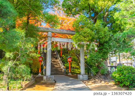 東京都新宿区 秋の早稲田、穴八幡宮 二の鳥居 東京都新宿区 秋の早稲田、穴八幡宮 二の鳥居 136307420