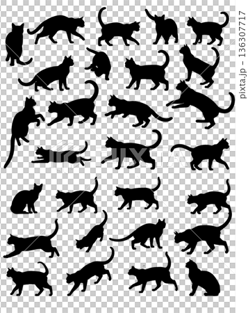 cute cat silhouette cute cat silhouette 136307717
