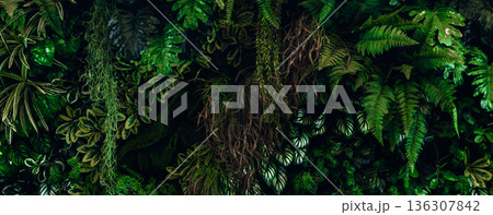 Herb wall, plant wall, natural green wallpaper and background. Herb wall, plant wall, natural green wallpaper and background. 136307842