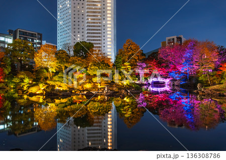 東京都墨田区 両国、旧安田庭園の紅葉ライトアップ 136308786