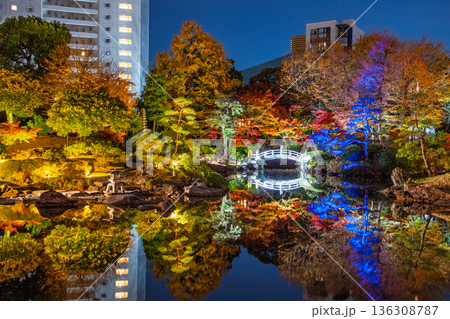 東京都墨田区 両国、旧安田庭園の紅葉ライトアップ 136308787