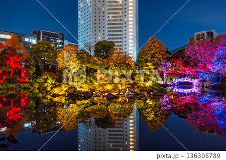 東京都墨田区 両国、旧安田庭園の紅葉ライトアップ 136308789