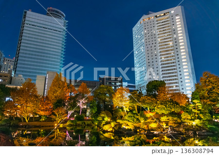 東京都墨田区 両国・旧安田庭園の紅葉ライトアップと都会の夜景 東京都墨田区 両国・旧安田庭園の紅葉ライトアップと都会の夜景 136308794