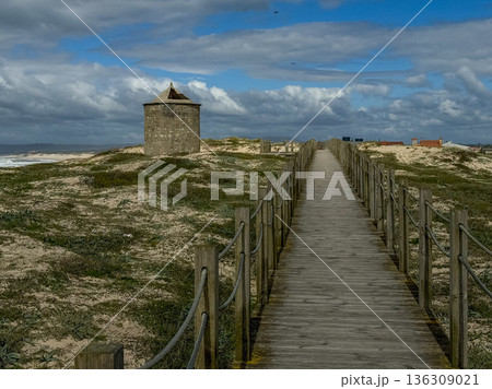 Wooden boardwalk leading through coastal dunes toward an old stone windmill along the Camino de Santiago in Portugal under dramatic cloudy sky Wooden boardwalk leading through coastal dunes toward an old stone windmill along the Camino de Santiago in Portugal under dramatic cloudy sky 136309021