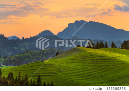 Mountain landscape in the Pieniny National Park at the foot of the Tatra Mountains 136309268