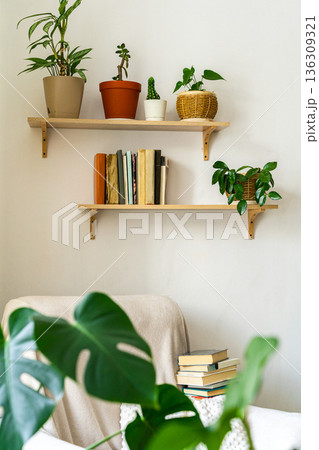 Cozy living room interior with plants and books Cozy living room interior with plants and books 136309321