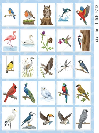 世界の美しい鳥イラストセット 25種類 水彩風アイコン詰め合わせ素材 136309712