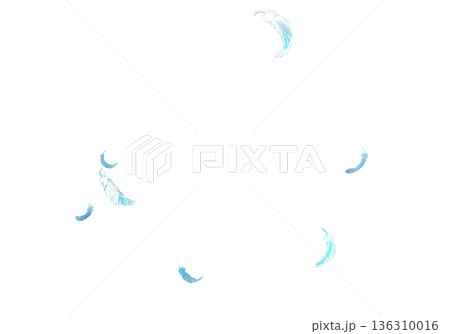 舞い散る羽根 136310016