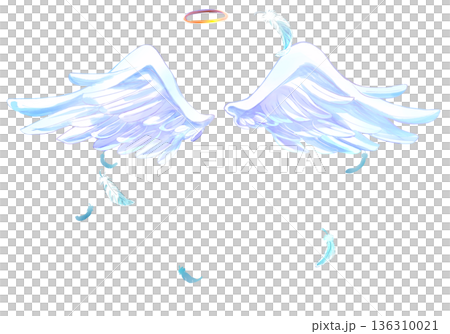 Angel wings and halo, flying feathers Angel wings and halo, flying feathers 136310021