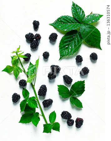 fresh blackberries, with foliage, top view, on a light background, no people, 136310574