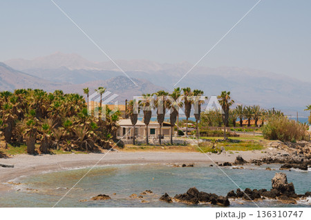 Tropical beach resort on Mediterranean coast with palm trees and mountains, summer vacation house near sea, scenic landscape shot 136310747