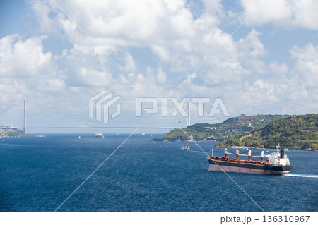 A scenic Bosporus landscape photography depicting a large cargo ship 136310967