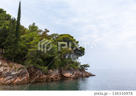 Dense pine and cypress trees cling to rugged rocks 136310978