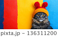Cute cat in bright knitted hat against colorful background for fun decor 136311200