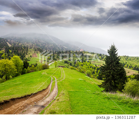dirt road winding through green rolling hills. rural landscape in carpathian mountain range of ukraine. countryside vista under overcast sky in spring. synevyr parks and outdoors travel destination dirt road winding through green rolling hills. rural landscape in carpathian mountain range of ukraine. countryside vista under overcast sky in spring. synevyr parks and outdoors travel destination 136311287