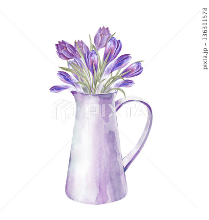 A spring composition of a white jug and a bouquet of purple crocuses. Watercolor illustration on an isolated background. Realistic seasonal home decor clipart for spring themes, Easter, Mother's Day A spring composition of a white jug and a bouquet of purple crocuses. Watercolor illustration on an isolated background. Realistic seasonal home decor clipart for spring themes, Easter, Mother's Day 136311578