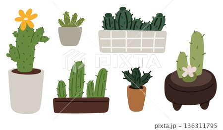 Variety of cacti with needles and flowers in pots. Decorative flowerpot. Succulent greenery. Interior botanical decor. Potted cactus. Prickly plant. Vector set of tropical houseplants Variety of cacti with needles and flowers in pots. Decorative flowerpot. Succulent greenery. Interior botanical decor. Potted cactus. Prickly plant. Vector set of tropical houseplants 136311795