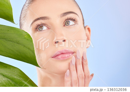 Face, hand and natural beauty with nails, manicure and cosmetics with palm leaf isolated on blue background. Female model, glow and nail care, eco friendly dermatology and wellness with skincare Face, hand and natural beauty with nails, manicure and cosmetics with palm leaf isolated on blue background. Female model, glow and nail care, eco friendly dermatology and wellness with skincare 136312036