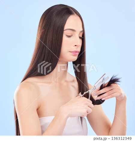 Hair care, trimming and a woman with scissors on a studio background for breakage or damage. Health, beauty and a young girl or model with tools for hairstyle maintenance isolated on a backdrop Hair care, trimming and a woman with scissors on a studio background for breakage or damage. Health, beauty and a young girl or model with tools for hairstyle maintenance isolated on a backdrop 136312349