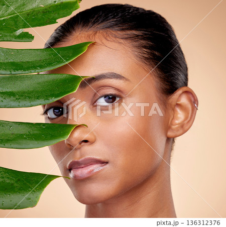 Skincare, beauty and indian woman with portrait with plant or natural glow in studio background for wellness. Dermatology, leaves and happy face for cosmetic with facial treatment for luxury spa. Skincare, beauty and indian woman with portrait with plant or natural glow in studio background for wellness. Dermatology, leaves and happy face for cosmetic with facial treatment for luxury spa. 136312376