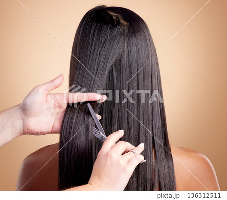 Back view, hands cut hair and woman, beauty and shine, cosmetic care isolated on studio background. Female people at hairdresser salon, scissors and makeover transformation with texture and trim 136312511