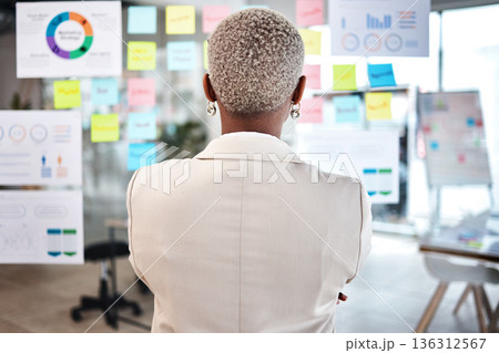 Business woman, back and thinking in project management, marketing or planning at the office. Rear view of Female person, manager or employee checking vision board of company statistics at workplace Business woman, back and thinking in project management, marketing or planning at the office. Rear view of Female person, manager or employee checking vision board of company statistics at workplace 136312567