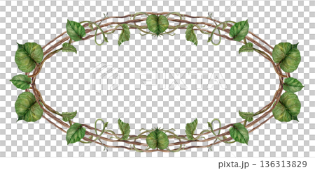 Oval frame with green kiwi leaves and stems. Watercolor botanical illustration template, isolated on a background labels for jam, drinks, food products, botanical prints, summer and spring decoration Oval frame with green kiwi leaves and stems. Watercolor botanical illustration template, isolated on a background labels for jam, drinks, food products, botanical prints, summer and spring decoration 136313829
