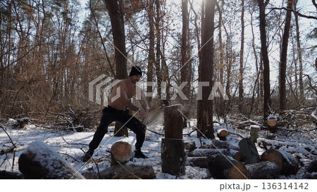 Shirtless young man chopping firewood in a sunny winter forest. Muscular guy working with axe in snowy woodland. Concept of strength, masculine, energy and harmony with nature during cold season Shirtless young man chopping firewood in a sunny winter forest. Muscular guy working with axe in snowy woodland. Concept of strength, masculine, energy and harmony with nature during cold season 136314142