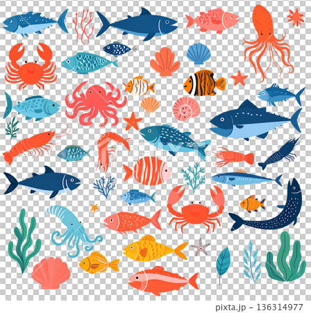 Colorful fish illustration set 136314977