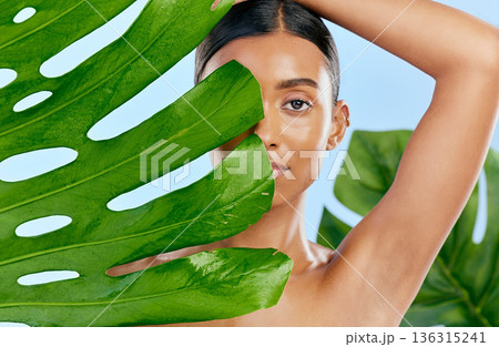 Cosmetics, leaf and portrait of a woman on a blue background for skincare, wellness and beauty glow. Ecology, dermatology and an Indian girl or model with a plant isolated on a studio backdrop 136315241
