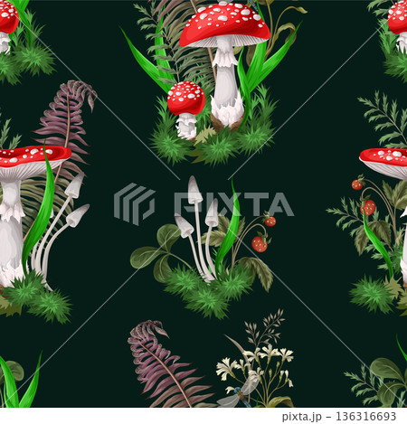 Seamless pattern with fly agaric, other mushrooms and plants. Vector. Seamless pattern with fly agaric, other mushrooms and plants. Vector. 136316693