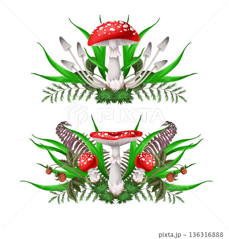 Compositions with Fly agarics, mushroom, and plants isolated. Vector. Compositions with Fly agarics, mushroom, and plants isolated. Vector. 136316888
