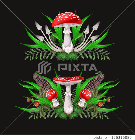 Compositions with Fly agarics, mushroom, and plants isolated. Vector. 136316889