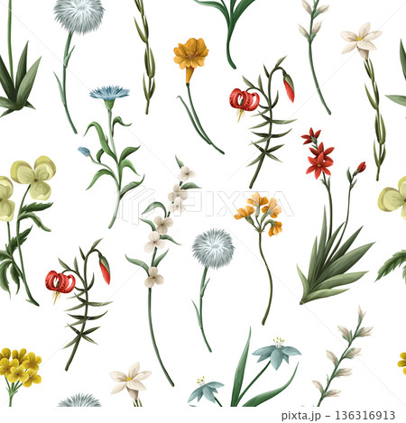 Seamless pattern with thin meadow flowers. Vector. 136316913
