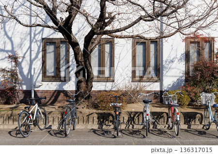 白い壁に落ちる木の影と並んで駐輪された自転車 136317015