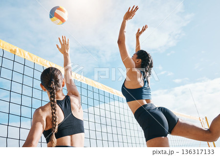 Woman, volleyball and teamwork by net for sports game, match or competition together in the outdoors. Female person, friends or team playing volley reaching for ball in fitness or athletics in nature 136317133