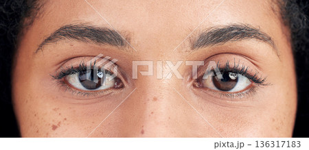 Eyes, vision and face closeup of woman for eyesight, optical care and eyelash extension with mascara. Eyebrows, eyecare and portrait of natural female person with cosmetics, microblading and beauty 136317183