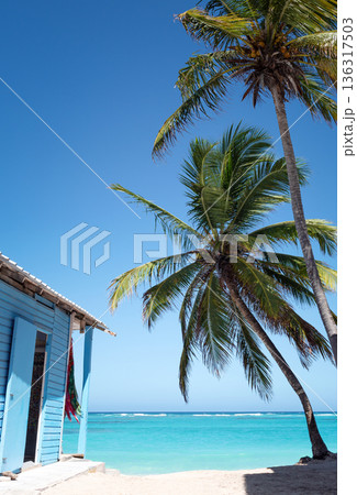 Typical caribbean blue wooden house near Atlantic ocean beach with azure water and coconut palm trees 136317503