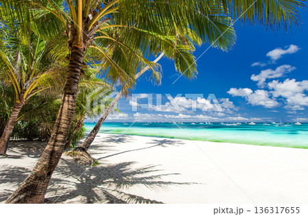 Tropical beach with palm trees, blue water and white sand. Summer vacation 136317655