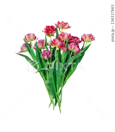 Bouquet with pink tulips, closeup. Isolated on white background Bouquet with pink tulips, closeup. Isolated on white background 136317663