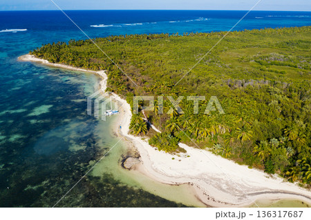 Tropical beach with coconut palm trees and azure caribbean sea. Beautiful landscape. Aerial view 136317687